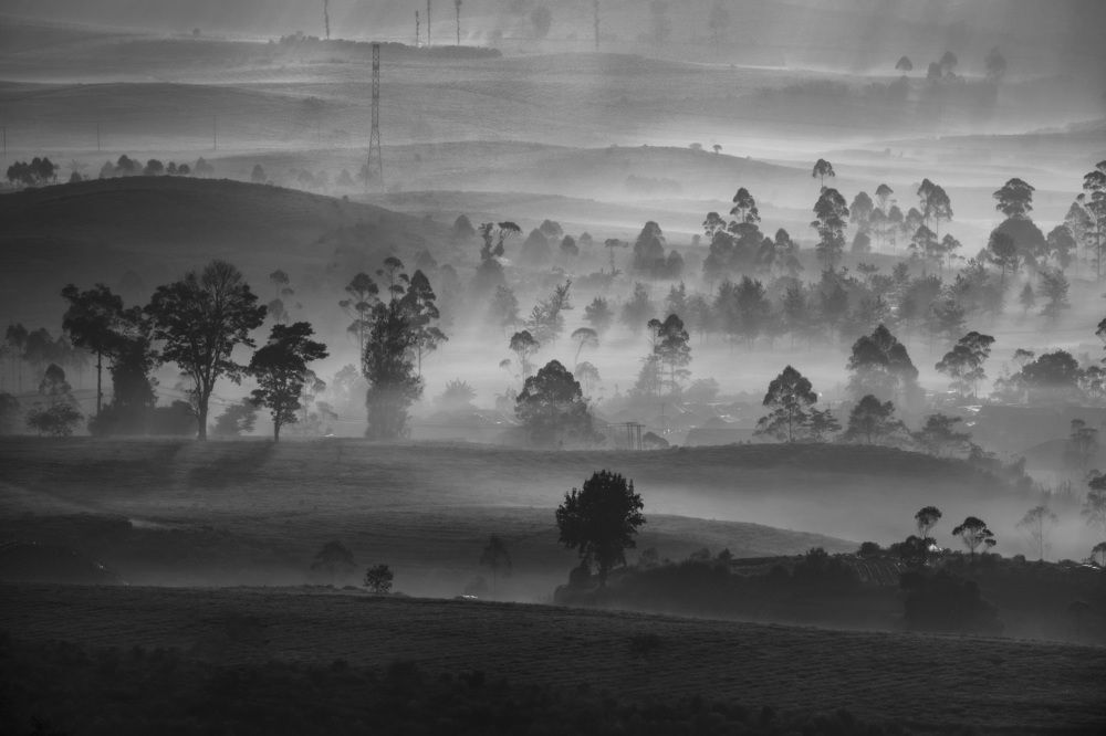 Photograph by Sandra Agustina