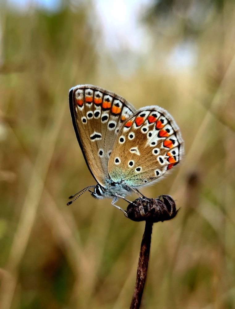Photograph by Инна Макарчук