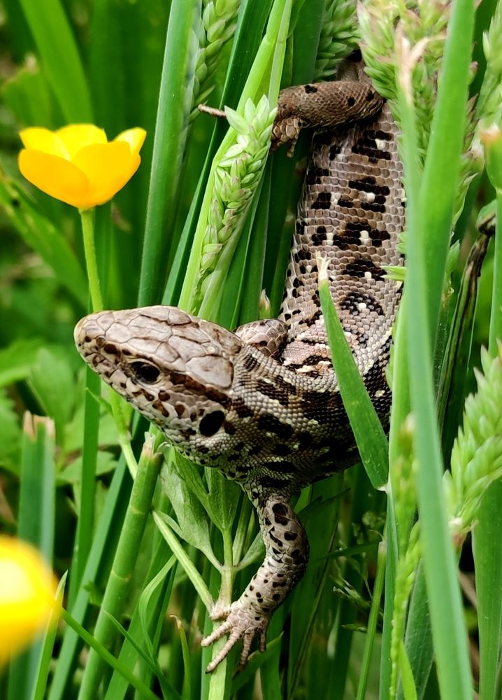 Photograph by Инна Макарчук