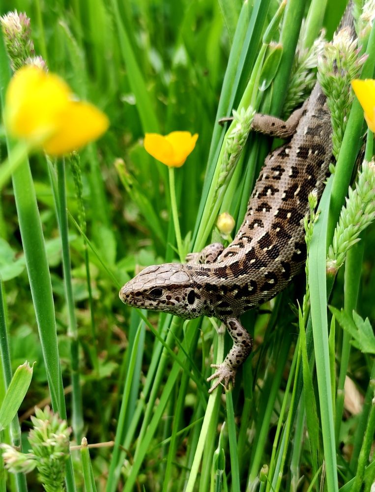 Photograph by Инна Макарчук