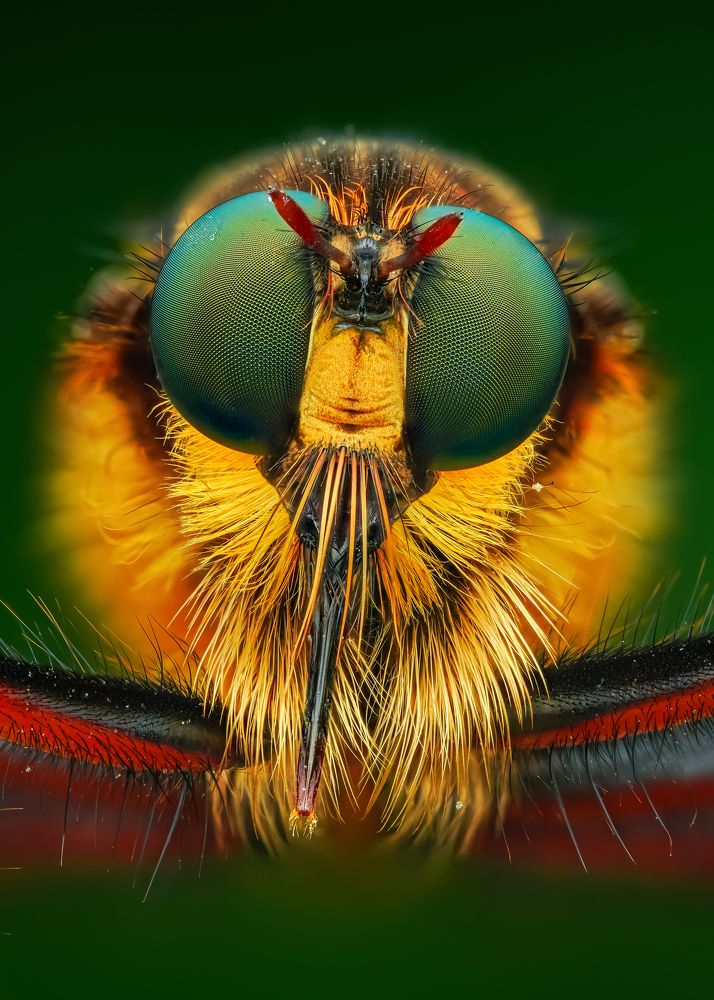 Photograph by Tran The Ngoc