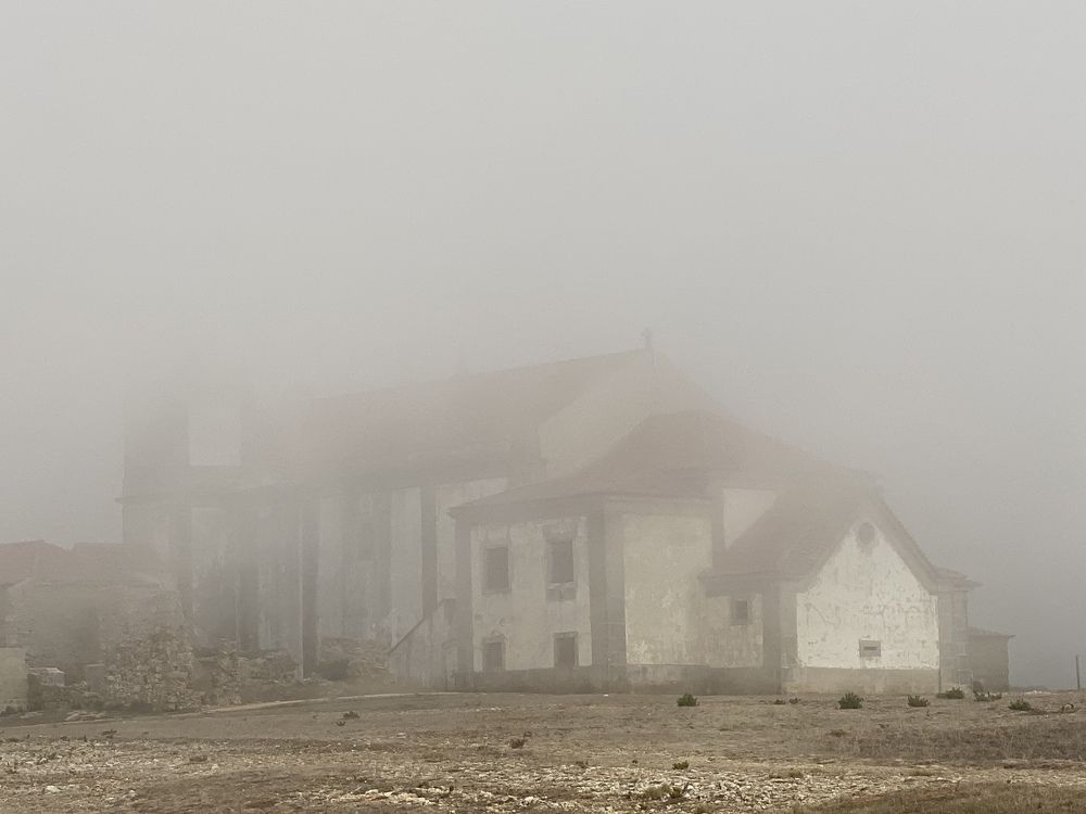 Photograph by Luís Damas