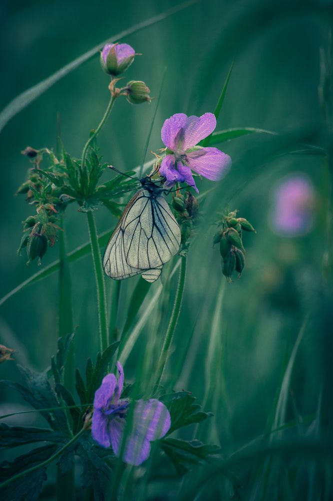 Photograph by Александр Жариков