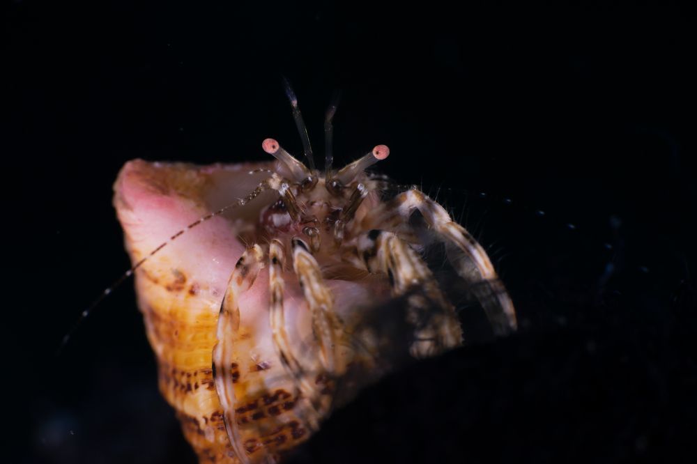 Photograph by Santiago Estrada R