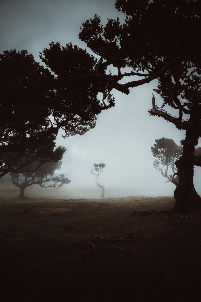 Photograph by Julio Pendilhe