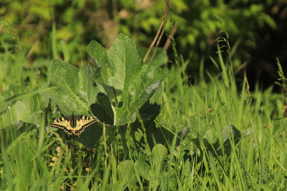 Photograph by Илья Беликов