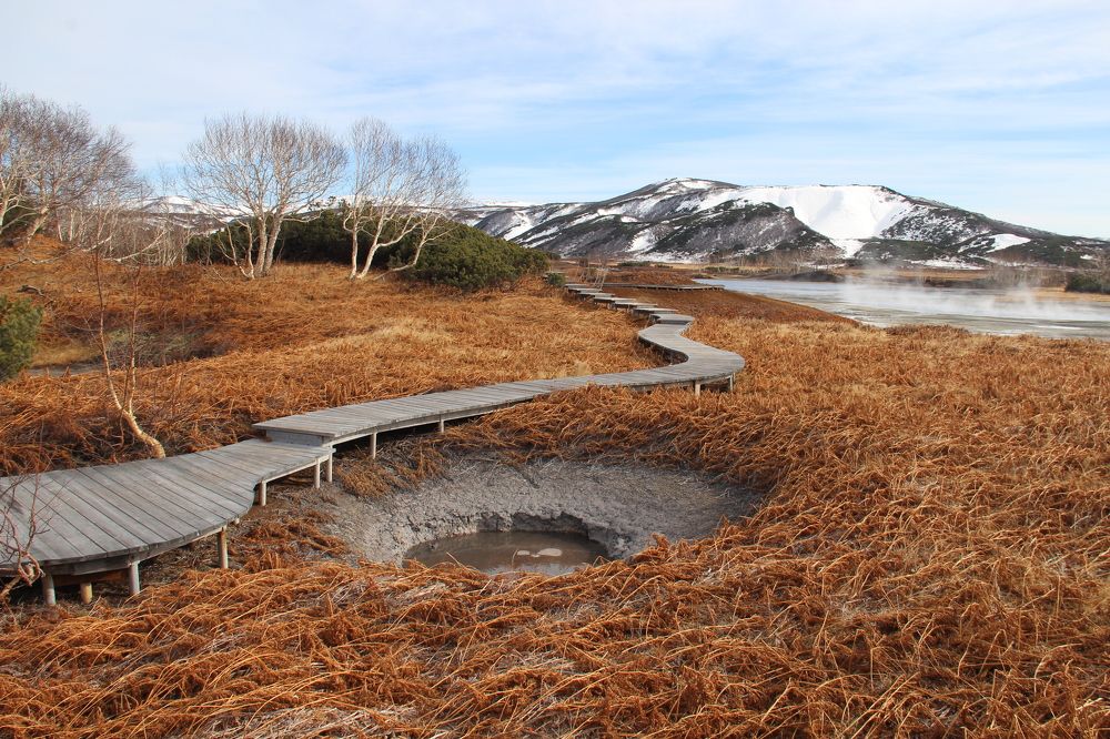 Photograph by Ирина Латынцева