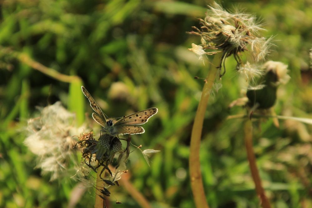 Photograph by Илья Беликов