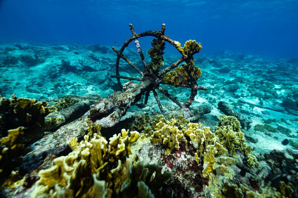 Photograph by Santiago Estrada R