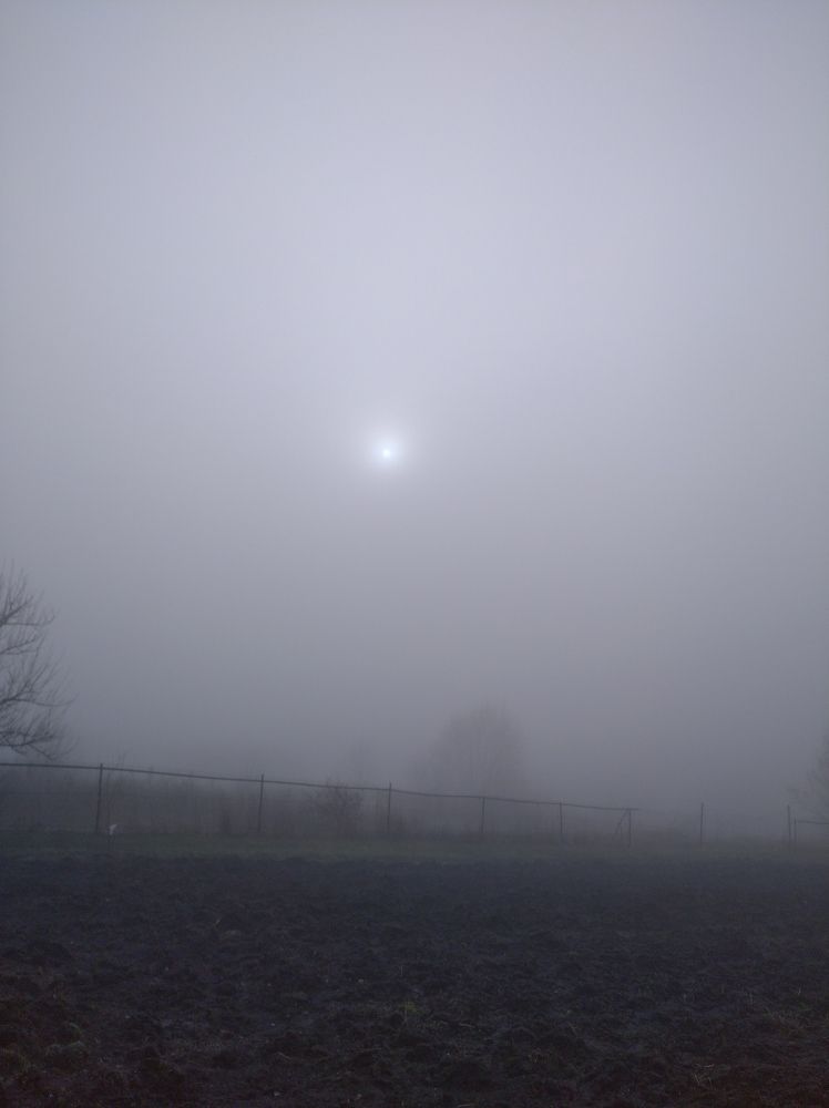 Photograph by Елена Коробченко