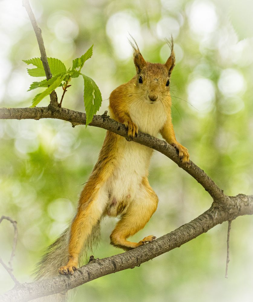 Photograph by Каргин Валерий
