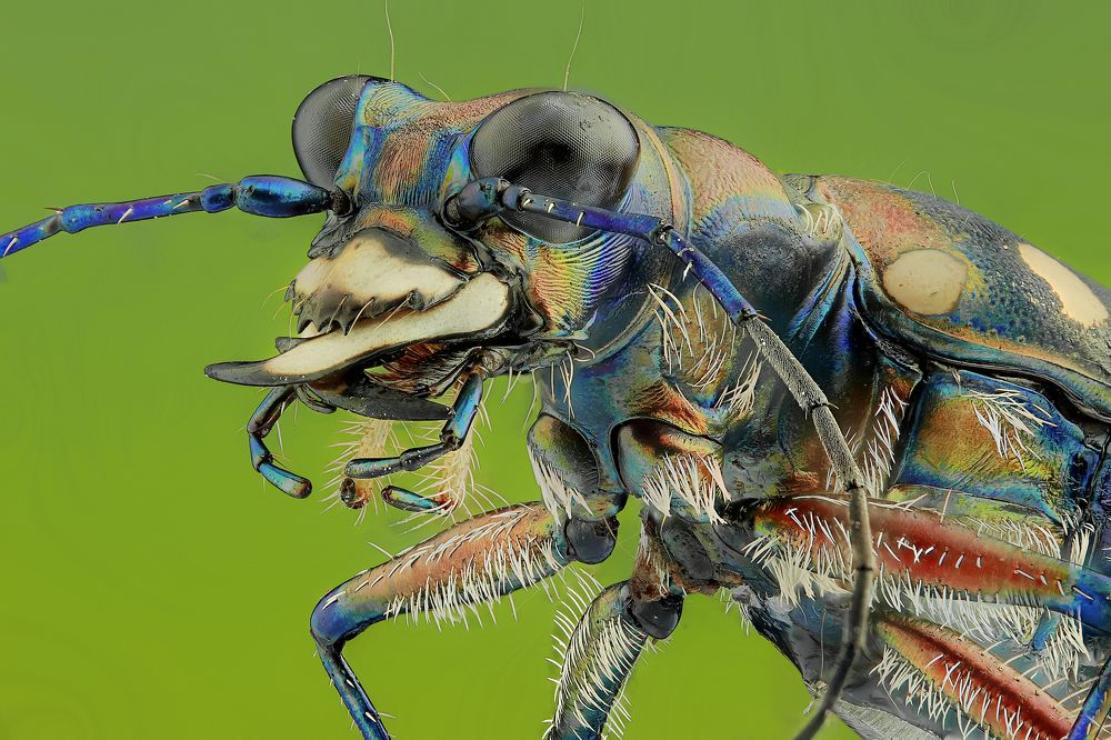 Photograph by Jacob Ng