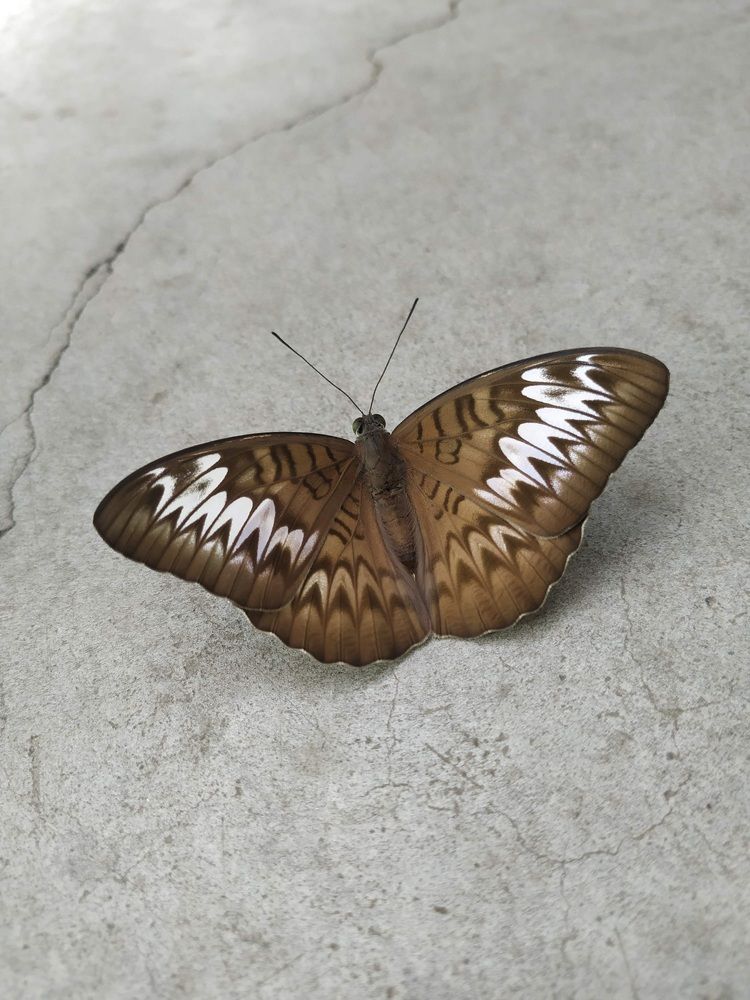 Photograph by mizumishinoda shinoda