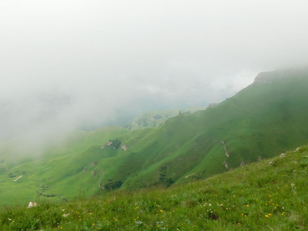 Photograph by Чкареули Светлана