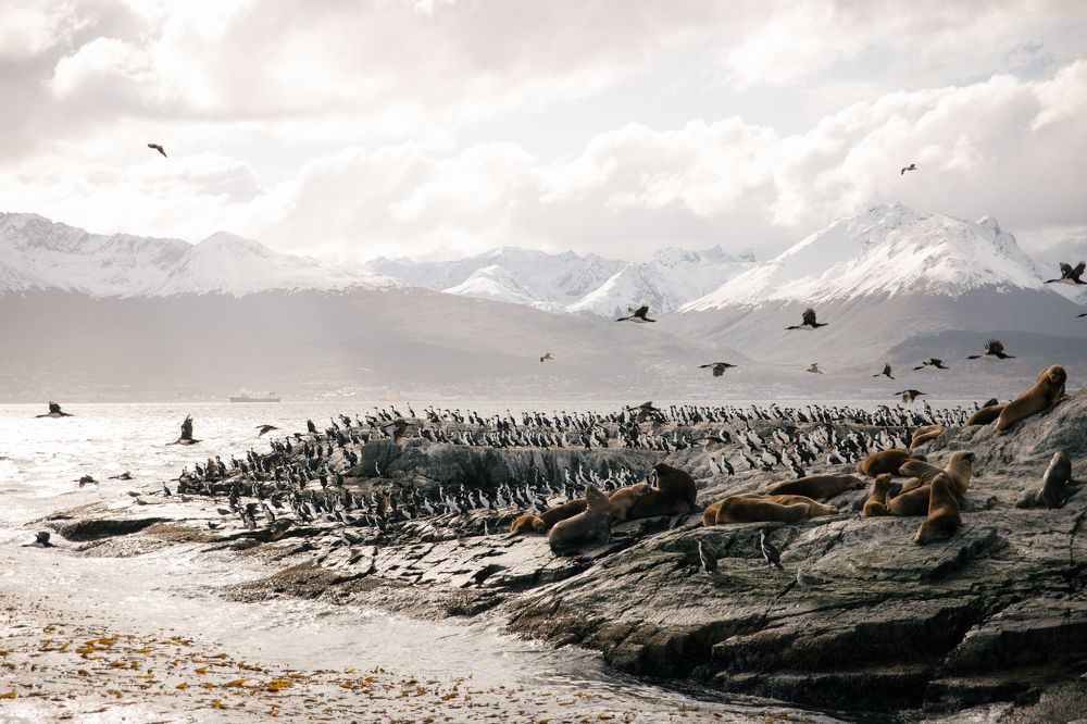 Фотография автора Anna Ovchinnikova