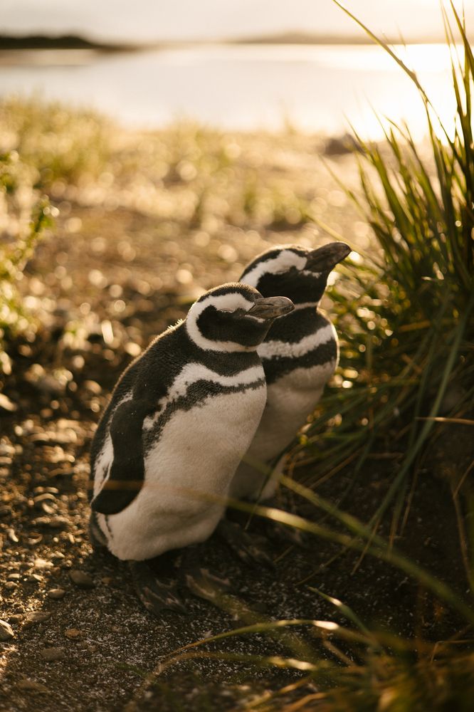 Фотография автора Anna Ovchinnikova