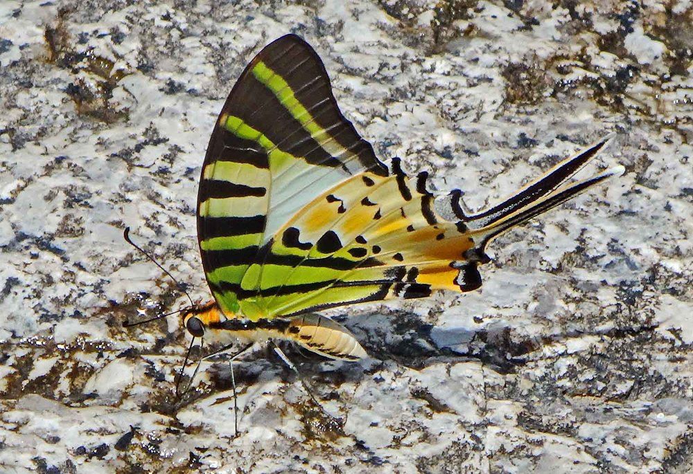 Photograph by Игорь Пшеничников