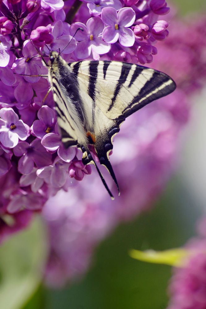 Photograph by Ксения Мироненко