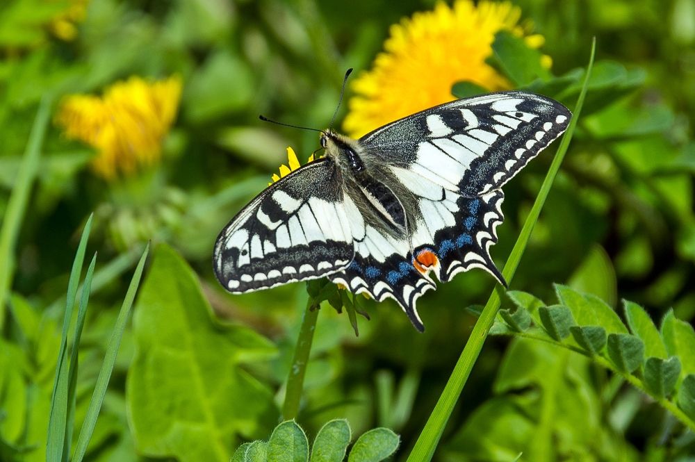 Photograph by Valery Kleymenov