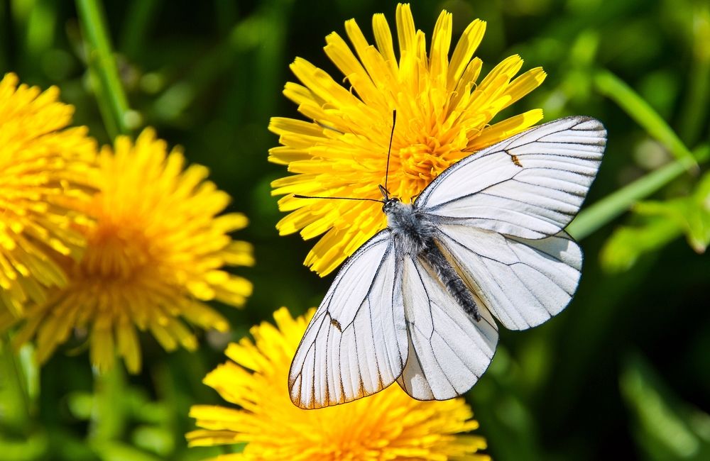 Photograph by Valery Kleymenov