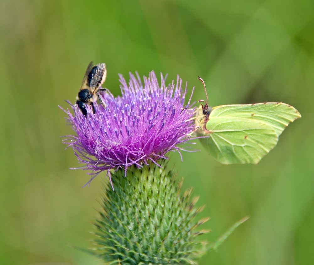 Photograph by Valery Kleymenov