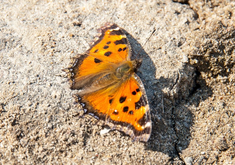 Photograph by Valery Kleymenov