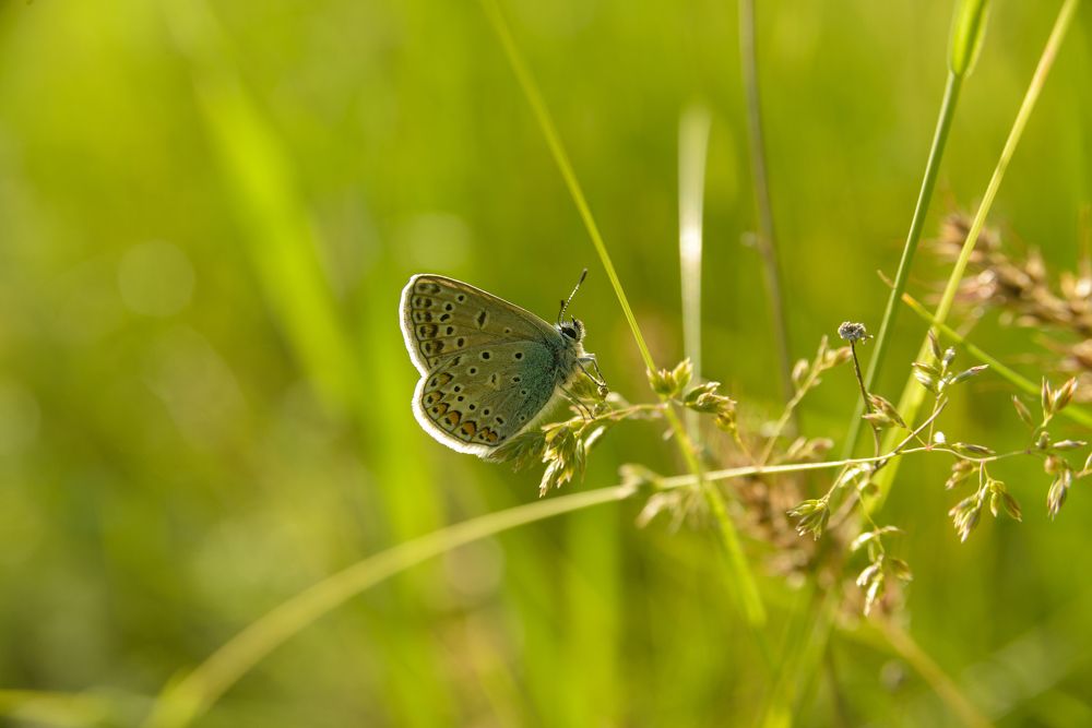 Photograph by Иван Курятников