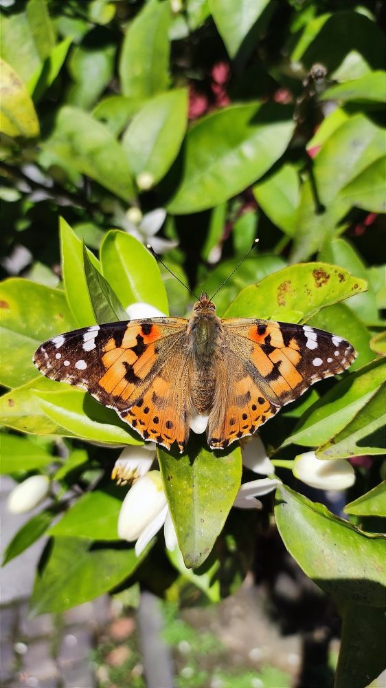 Фотография автора Георгий Черник