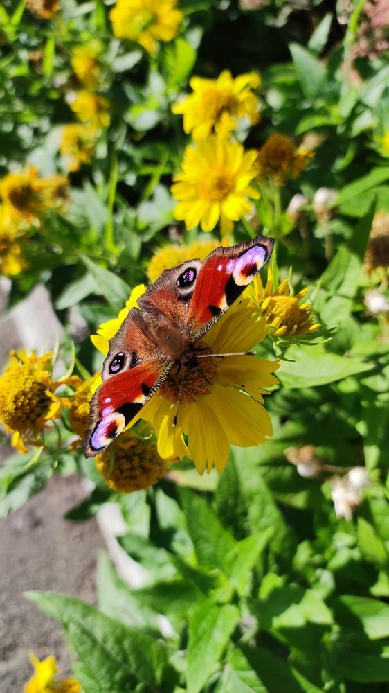 Фотография автора Георгий Черник