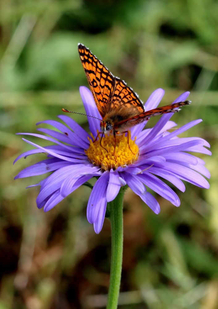 Photograph by Юрий Варюхин