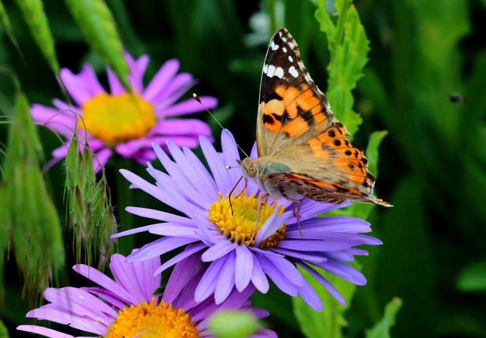 Photograph by Юрий Варюхин