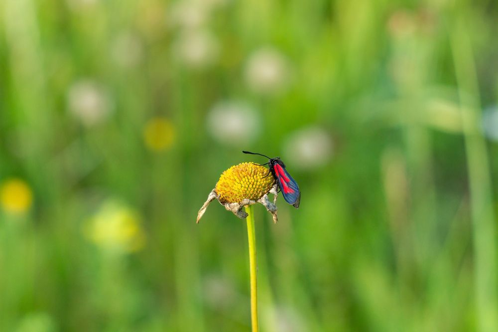 Photograph by Алексей