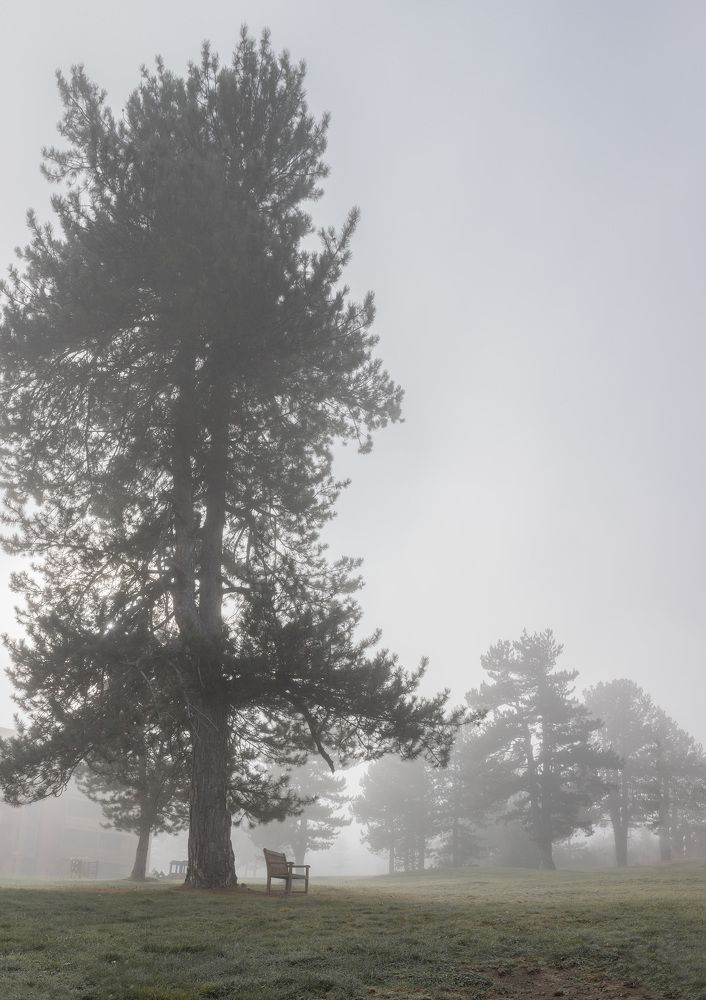 Photograph by Taтьяна Войлокова