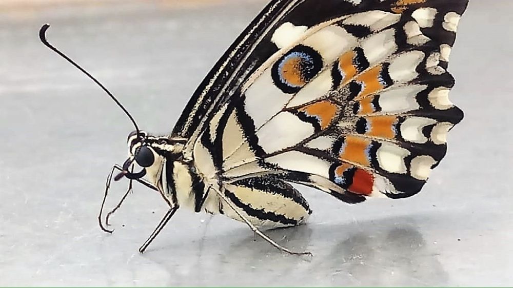 Photograph by Ambewadikar sourabh