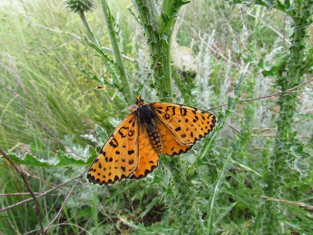 Photograph by Денис Веску