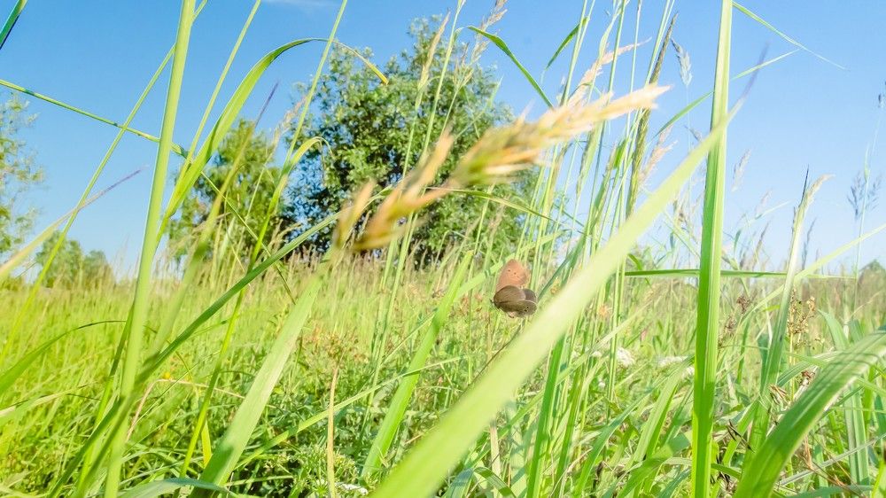 Photograph by Алексей Ильин