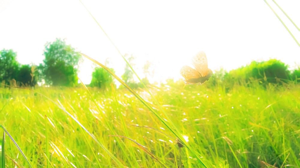 Photograph by Алексей Ильин