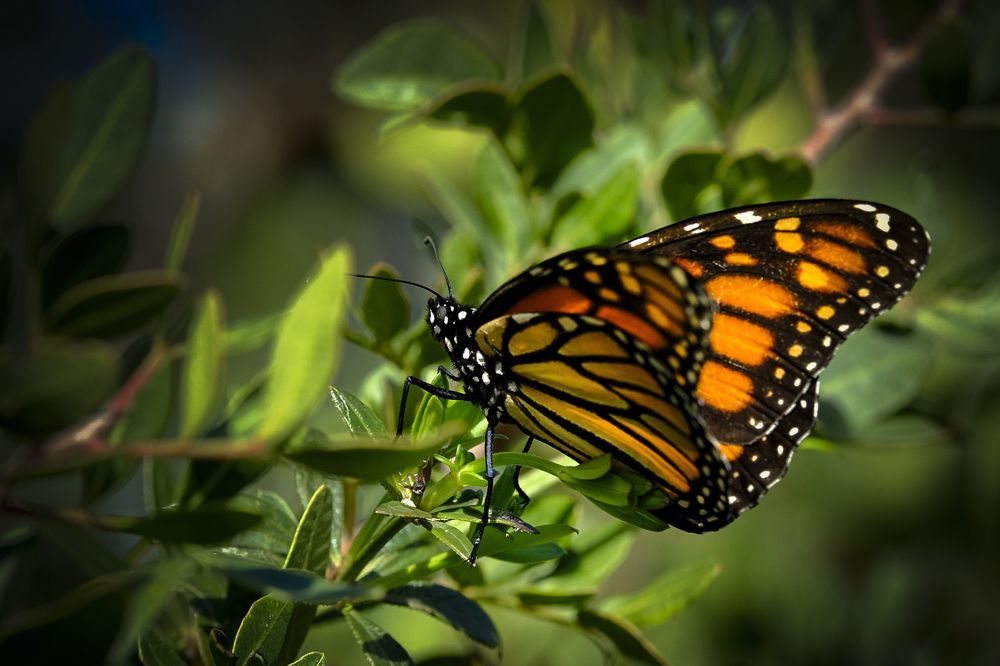 Photograph by Amelia Pardo