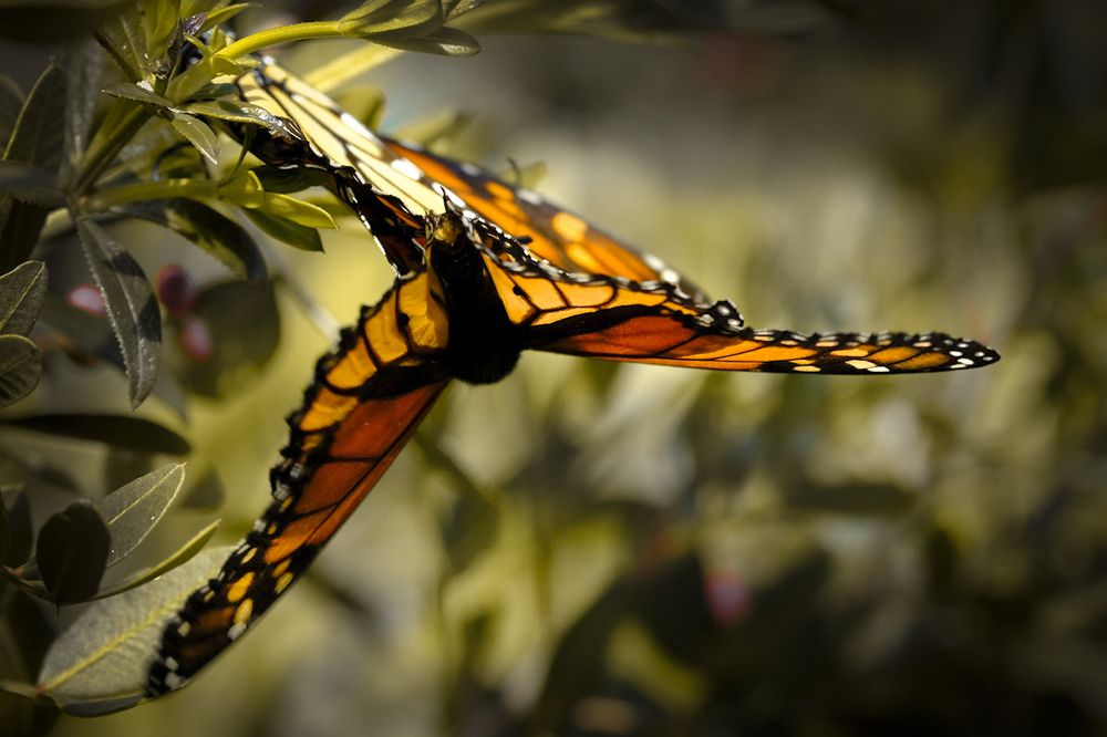 Photograph by Amelia Pardo