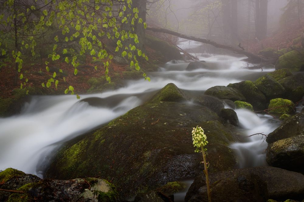 Photograph by Vania Tonova