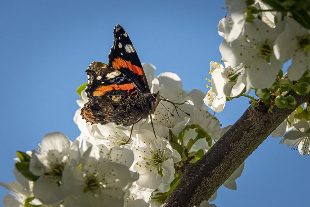 Photograph by Amelia Pardo