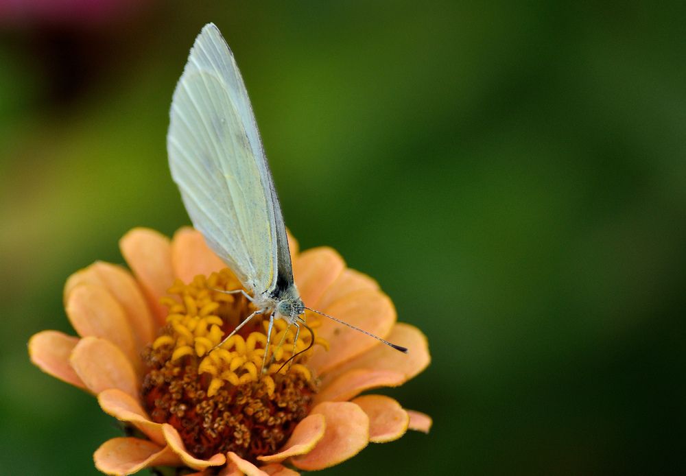 Photograph by Игорь Овсиенко