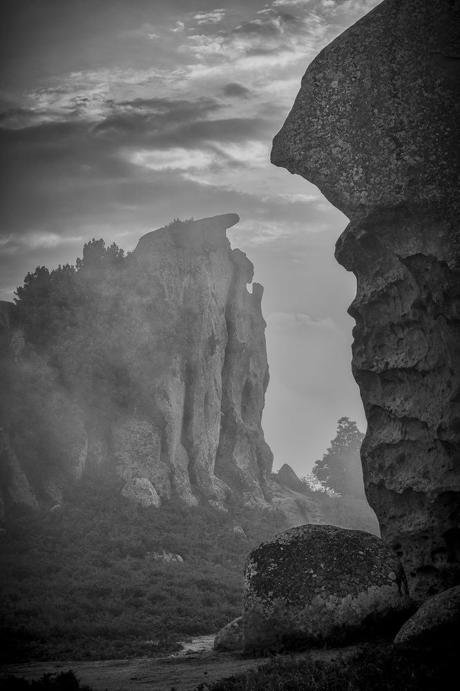 Visioni nella nebbia