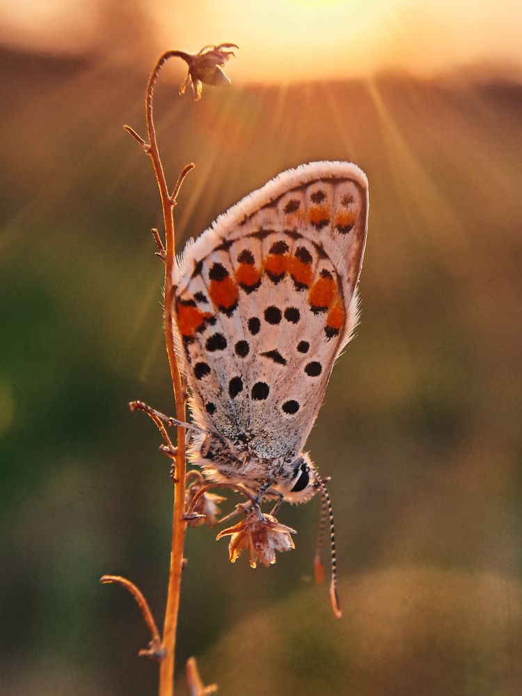 Photograph by Natalya