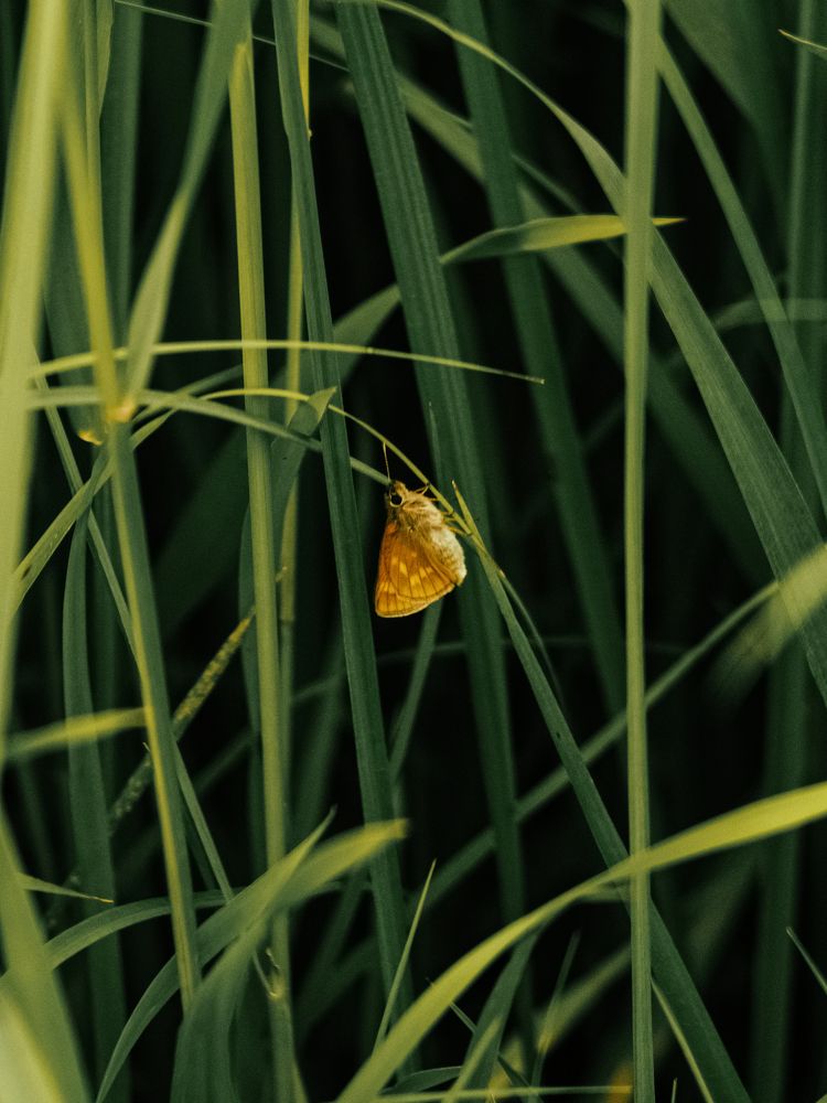 Photograph by Борис Челышев