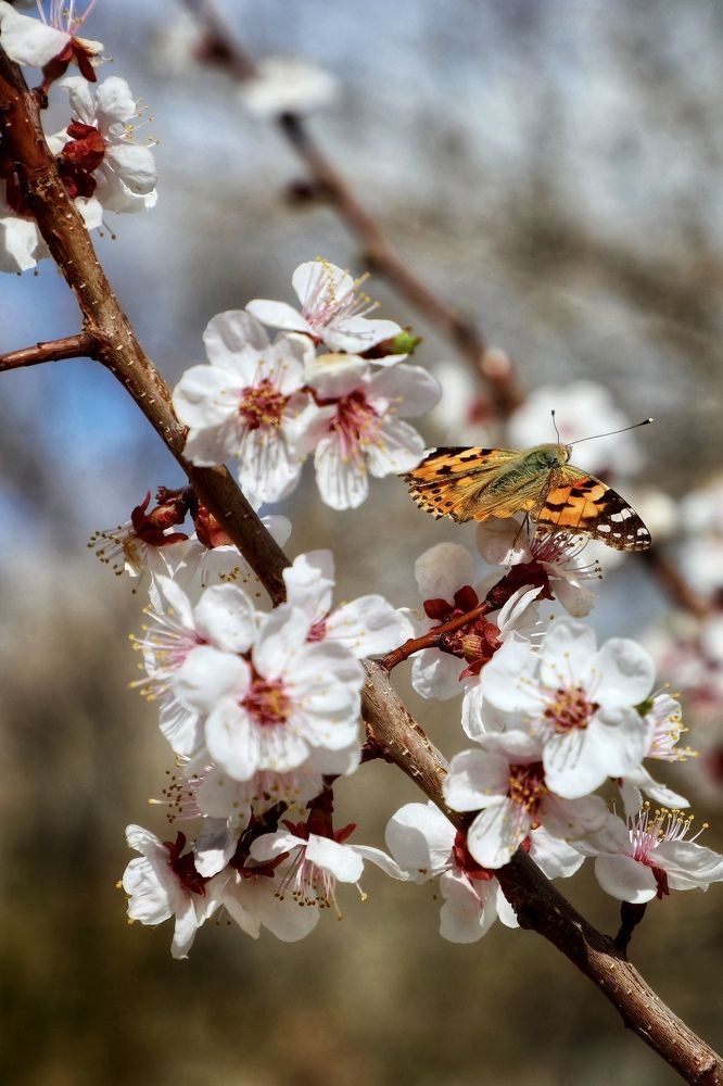 Photograph by Швец Павел