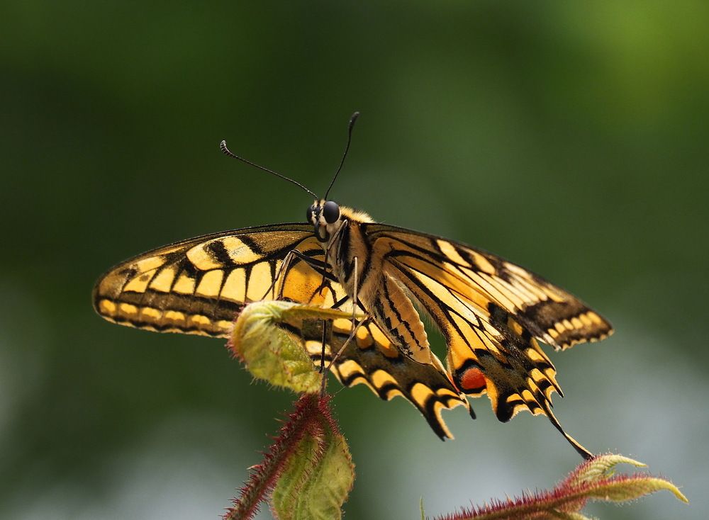 Photograph by ANDREY PERESHEIN