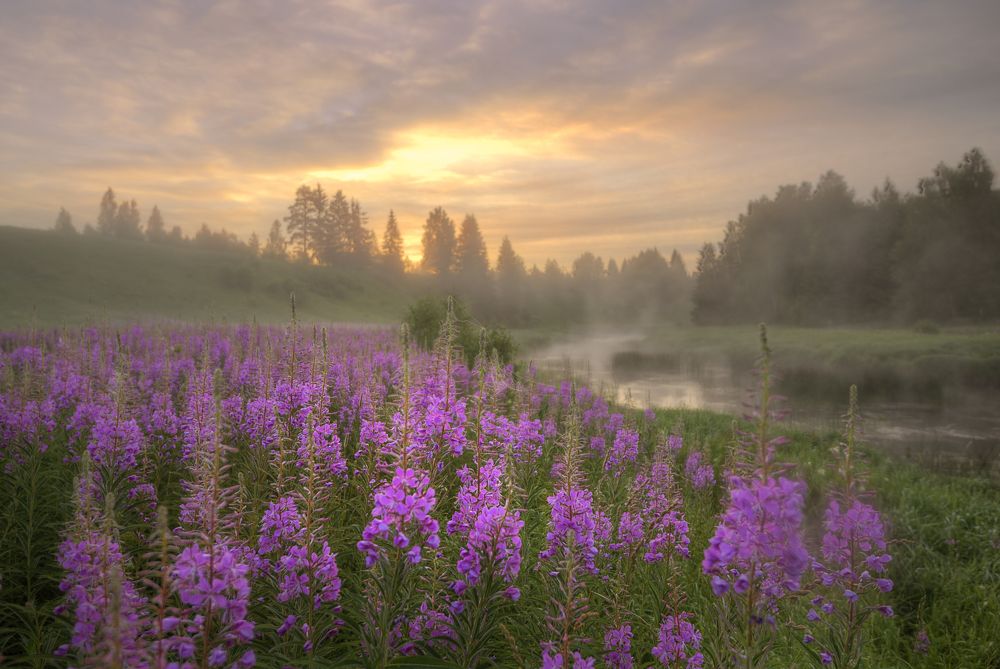 Photograph by Эдуард Гордеев