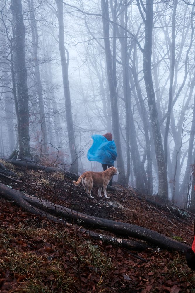 Фотография автора Renis Hyka