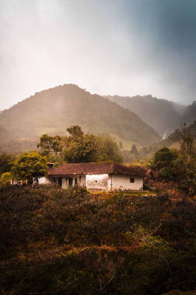 Фотография автора Carlos Jimenez